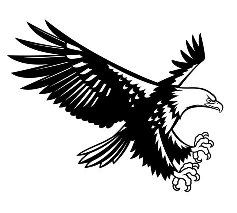 drawing a black eagle flying on white background 10826244 Vector Art at ...