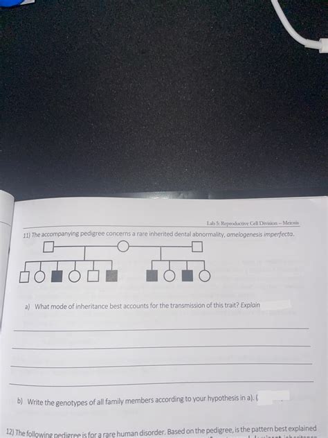 Answered Lab 5 Reproductive Cell Division  Bartleby