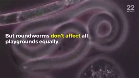 Human Anti Worms Dewormer b - YouTube