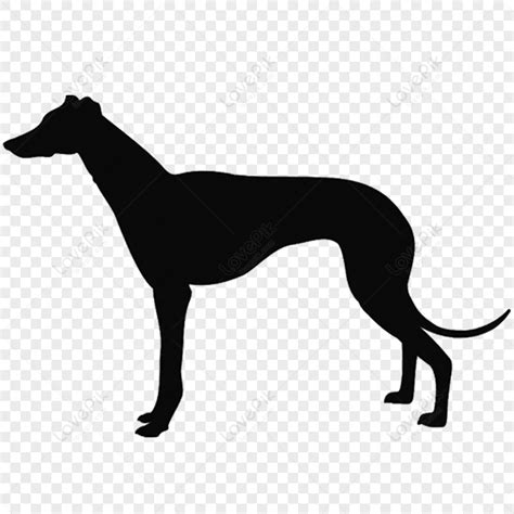 Black Dog Silhouette, Black Animal, Material, Dog PNG Free Download And ...