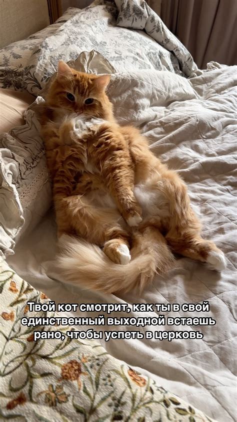 Алина Бабкина | А он и проснулся красивым, и уже везде успел, в отличие ...