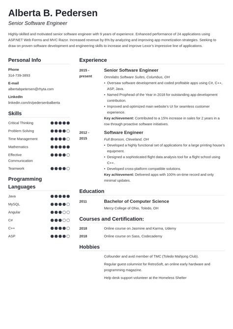 Senior Software Engineer Resume Examples Guide Tips