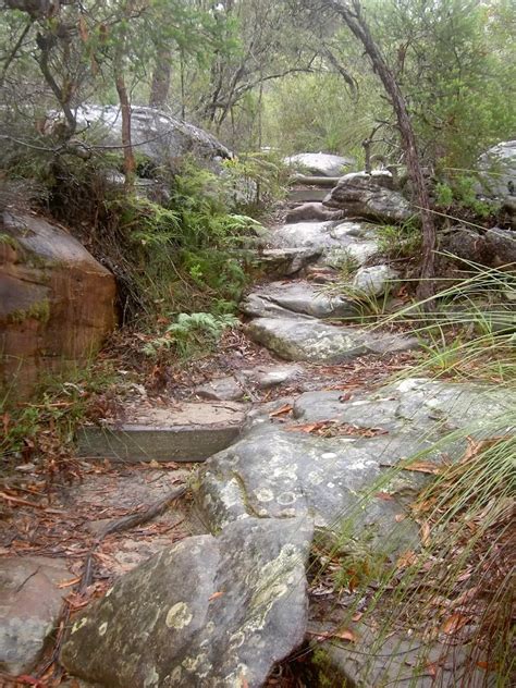 Aboriginal Heritage Track Walking Track