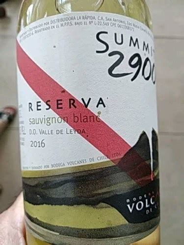 Bodega Volcanes Summit Reserva Sauvignon Blanc Vivino Us