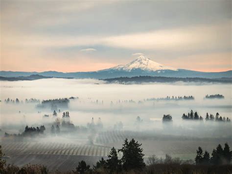 What You Need To Know About Willamette Valley Weather And Planning Your ...