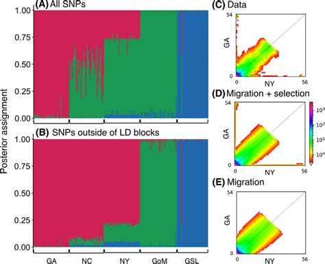 Admixture Analysis Under An Optimally Fitted Model Of K Populations