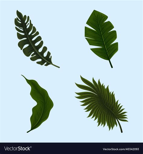 Icons jungle leaves Royalty Free Vector Image - VectorStock