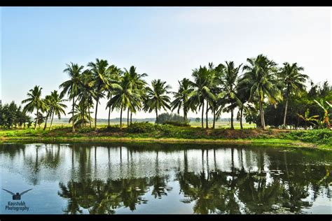 Discovering Self At Chilika Lake Konark Tripoto