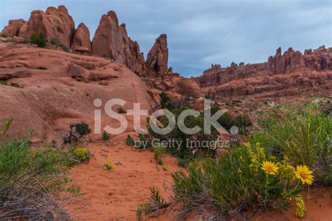 Tower Arch Trail Stock Photo | Royalty-Free | FreeImages