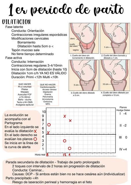 Asistencia Clínica Del Parto Isabel Soto Daza uDocz