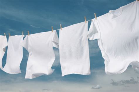 clothesline pictures   images  unsplash