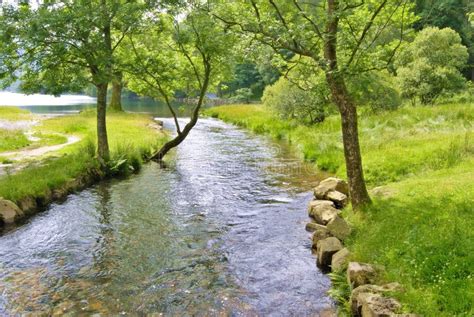 Peaceful river scene stock photo. Image of nature, beautiful - 2970822