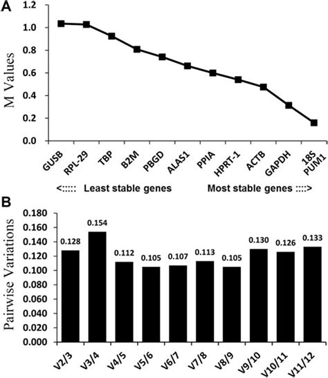 Frontiers Identification Of Optimal Reference Genes For Gene