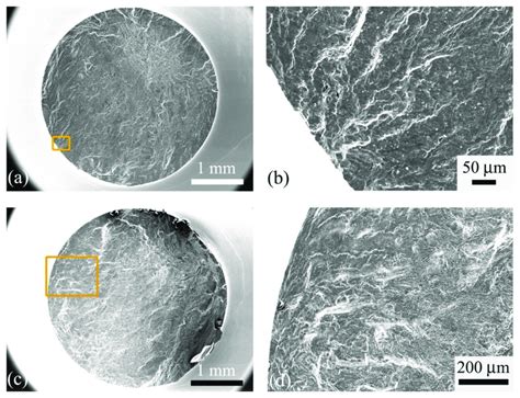 Sem Images Of Fracture Surface For Notch Specimens A And B