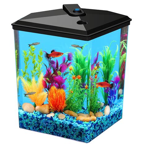 Best Gallon Fish Tank With Filter At Travis Robinson Blog