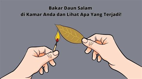 Bakar Daun Salam Di Kamar Anda Dan Lihat Apa Yang Terjadi YouTube