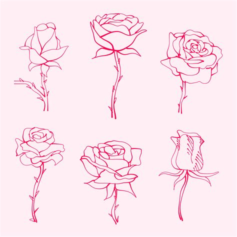 set of flower. hand drawn roses. drawing of rose flower. Rose flower ...