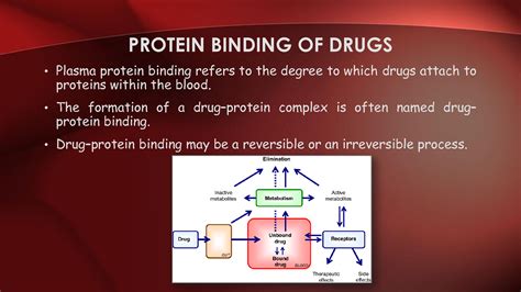 Solution Drug Protein Binding And Its Effects Studypool