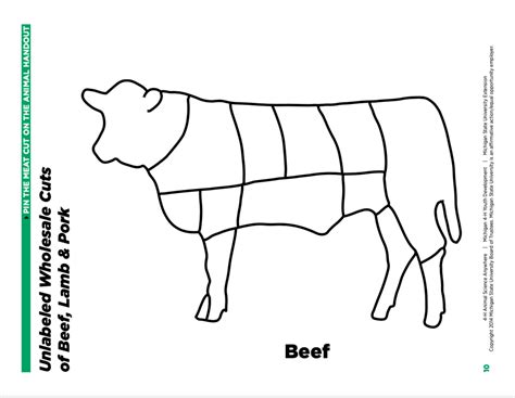 Wholesale Cuts Of Beef Worksheet