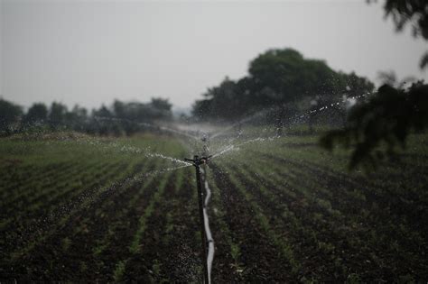 Что такое умные грядки? - Agrotrend.ru