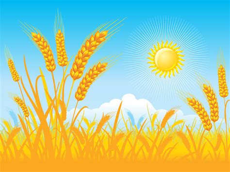 Golden Field Background Vector Art & Graphics | freevector.com