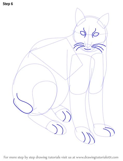 Learn How To Draw A Eurasian Lynx Wild Animals Step By Step Drawing