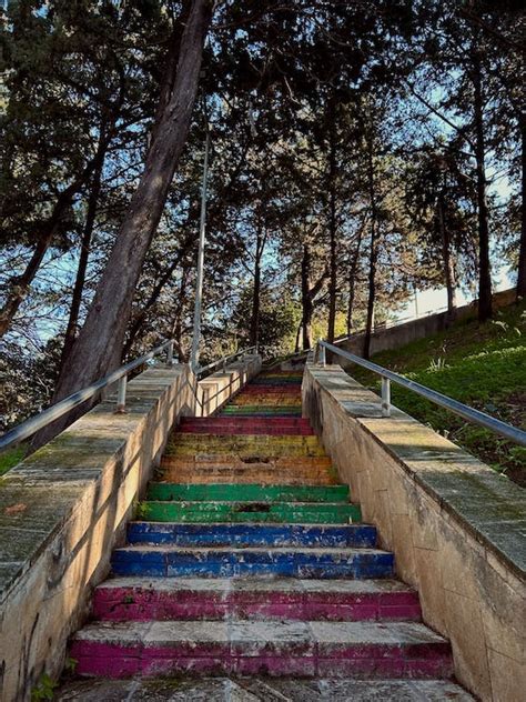 Colorful Concrete Stairs Near Trees · Free Stock Photo