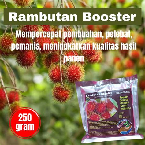 Jual Pupuk Booster Rambutan Organik Pelebat Buah Dan Anti Rontok Gr