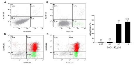 Effect of MG-132 on apoptosis of OS-RC-2 cells. Concentrations of ...