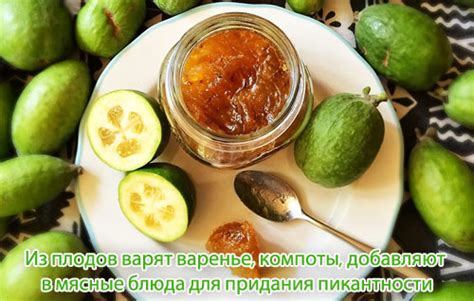Фейхоа - калорийность, полезные свойства, польза и вред, описание ...