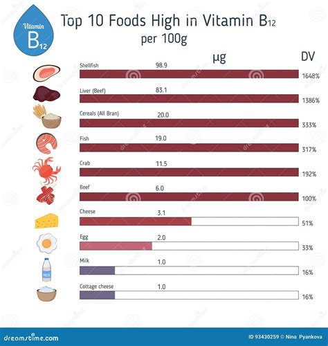 Vitamin B12 Or Cobalamin Infographic Stock Vector Illustration Of