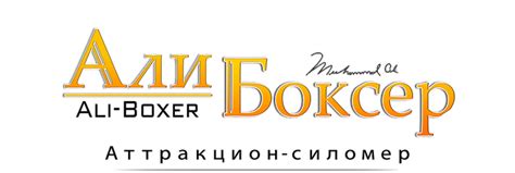 Силомер боксер "Али-Боксер" от 160.000р | Автомат боксерский | Аппарат ...