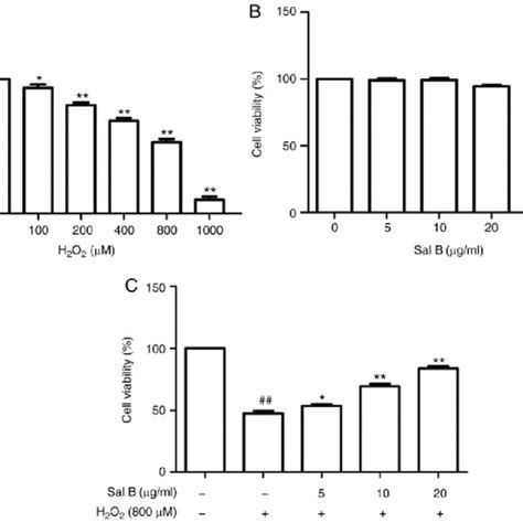 Cell Viability Determination Via Mtt Assay A Huvecs Were Treated