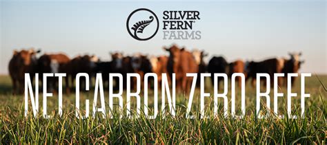 Silver Fern Farms Rolls Out Net Carbon Zero By Nature 100 Grass Fed