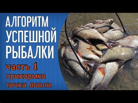 Алгоритм успешной рыбалки на фидер. Часть 1. Прикормка и точка ловли ...