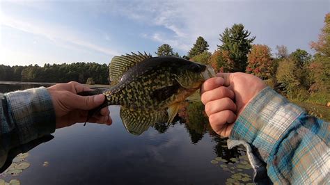 Pond Fishing Zebco Dock Demon YouTube