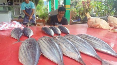 Imbas Cuaca Ekstrem Harga Ikan Laut Di Boltim Sulawesi Utara