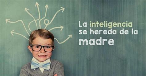 La Inteligencia Se Hereda De La Madre Y No Del Padre Seg N Estudio