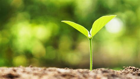 Exploring The Environmental Impact Of Different Hot Water Systems Hot Water Brisbane