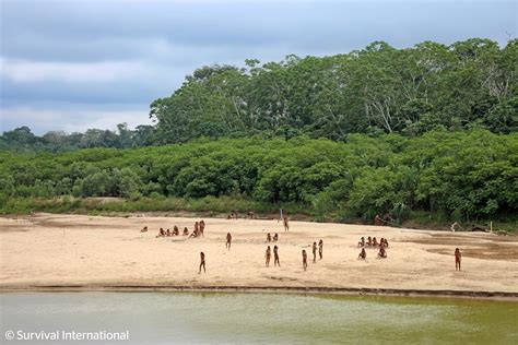 Veja imagens inéditas de indígenas que vivem isolados na Amazônia