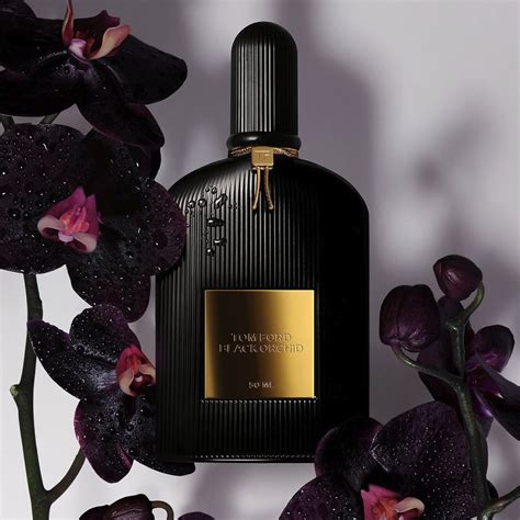 Top Tom Ford Perfume For Him Tom Ford Black Orchid Edp Her Perfume Hub