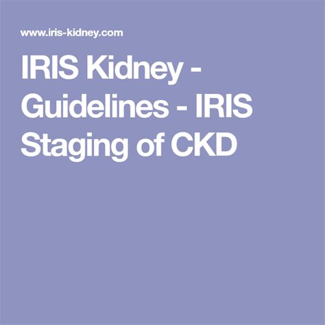 IRIS Kidney - Guidelines - IRIS Staging of CKD | Staging, Kidney, Guidelines