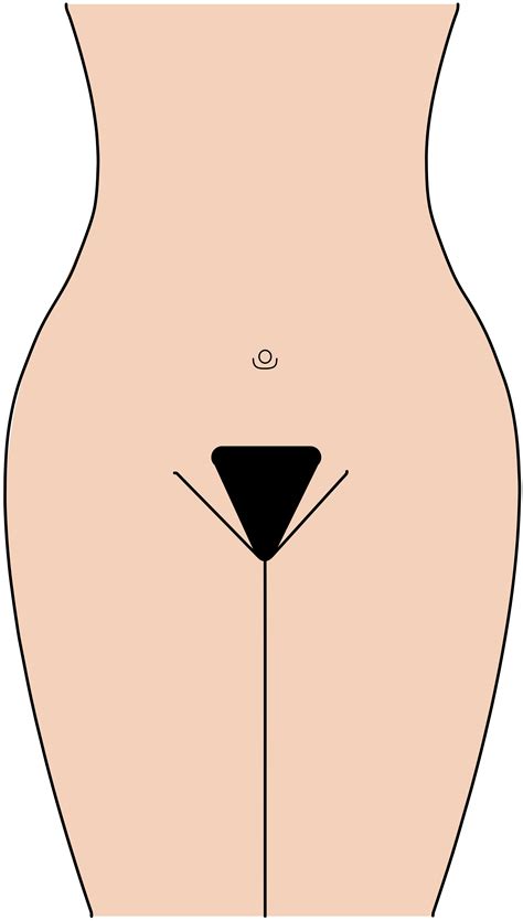 pubic hair patterns male vs female 4