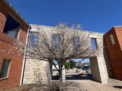 Professional Printing and Document Services in Wylie, TX 6