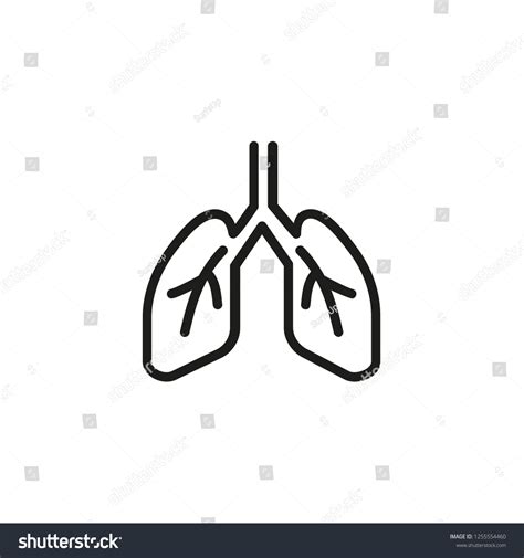 Human Lungs Line Icon Breath Bronchi Stock Vector Royalty Free