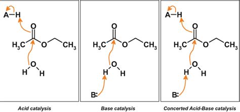 Free acid base catalysis, Download Free acid base catalysis png images ...