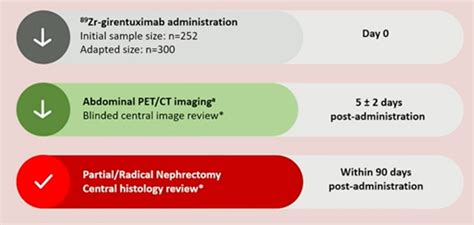 Eau Zr Dfo Girentuximab For Pet Ct Imaging Of Clear Cell Renal