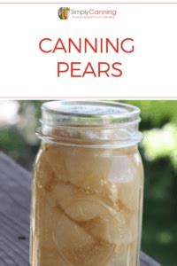 Canning Pears: How to can pears including syrup and juice options.