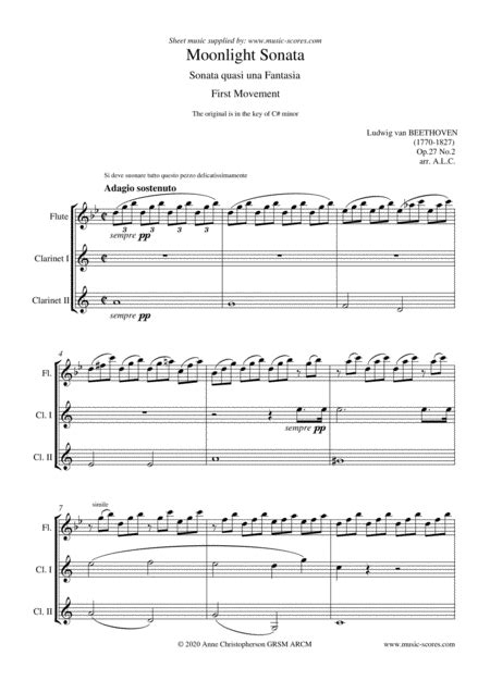 Moonlight Sonata 1st Movement Flute And 2 Clarinets Arr Anne L