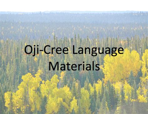 Oji-Cree Language Materials – White Fox Learning